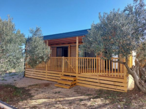 Solero Mobile Home Croatia, Camp Oaza Lučica, Drage